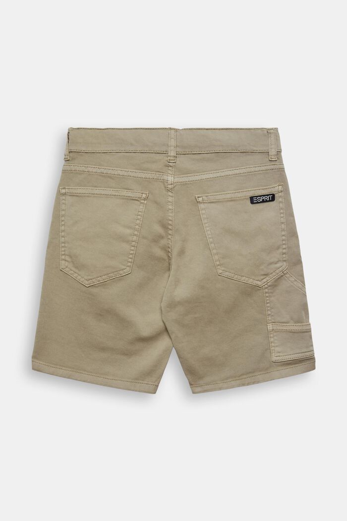 Carpenter Shorts, DUSTY GREEN, detail image number 2