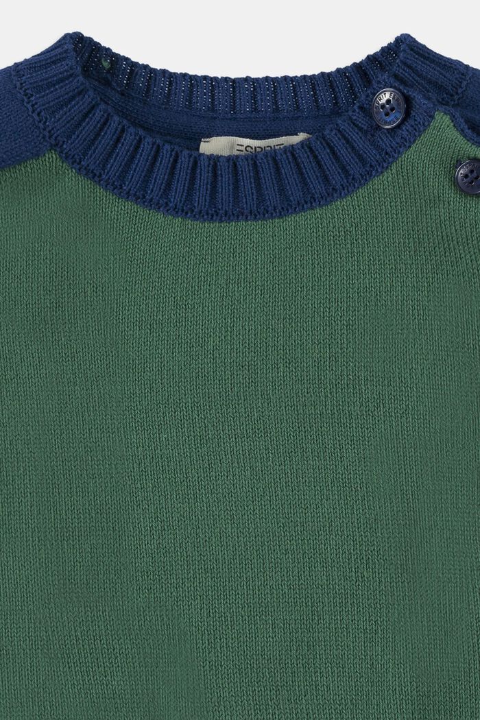 Colorblock Pullover aus Baumwolle, BOTTLE GREEN, detail image number 2