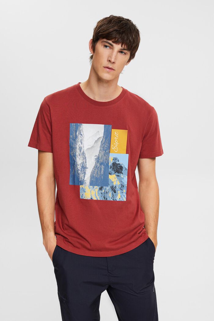 T-Shirt mit Print, TERRACOTTA, detail image number 1