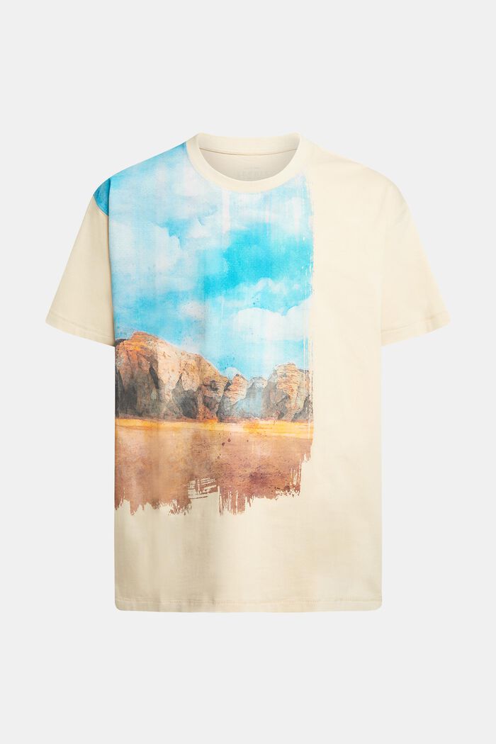T-Shirt mit digitalem Landschafts-Print vorne, BEIGE, detail image number 5