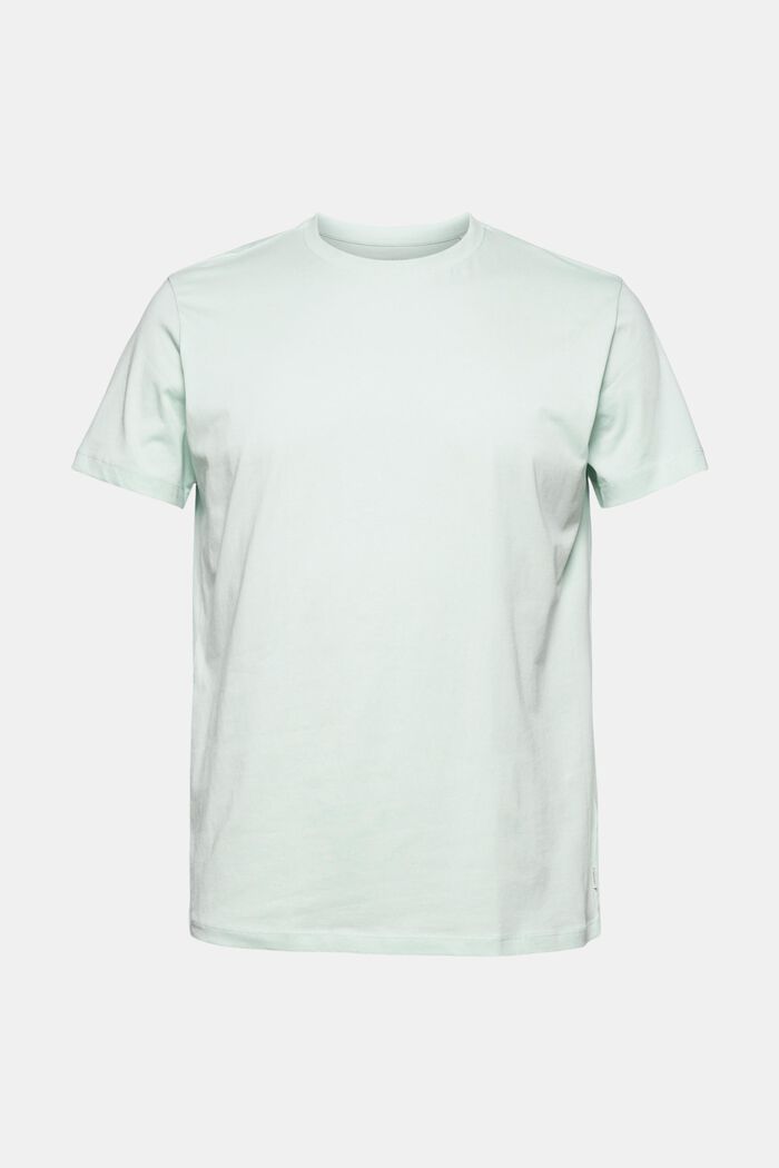 Jersey-T-Shirt aus 100% Organic Cotton, PASTEL GREEN, detail image number 0