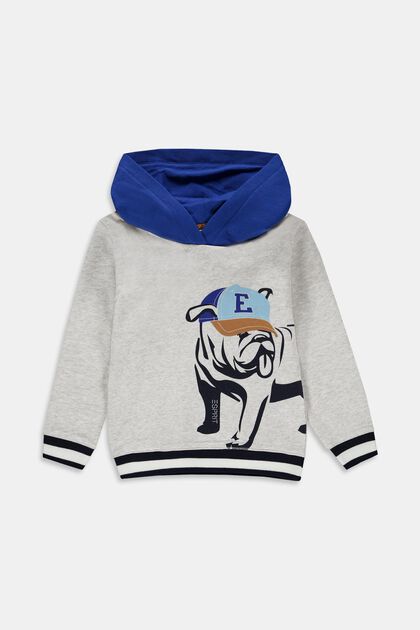 Hoodie mit Hunde-Print, ICE, overview