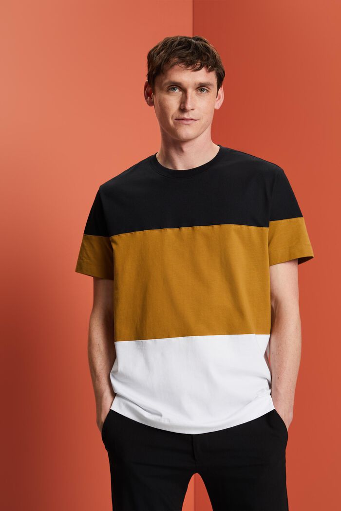 Colourblock-T-Shirt, 100 % Baumwolle, BLACK, detail image number 0