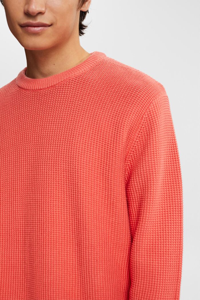 Sweater aus 100% Baunwollen, CORAL, detail image number 2