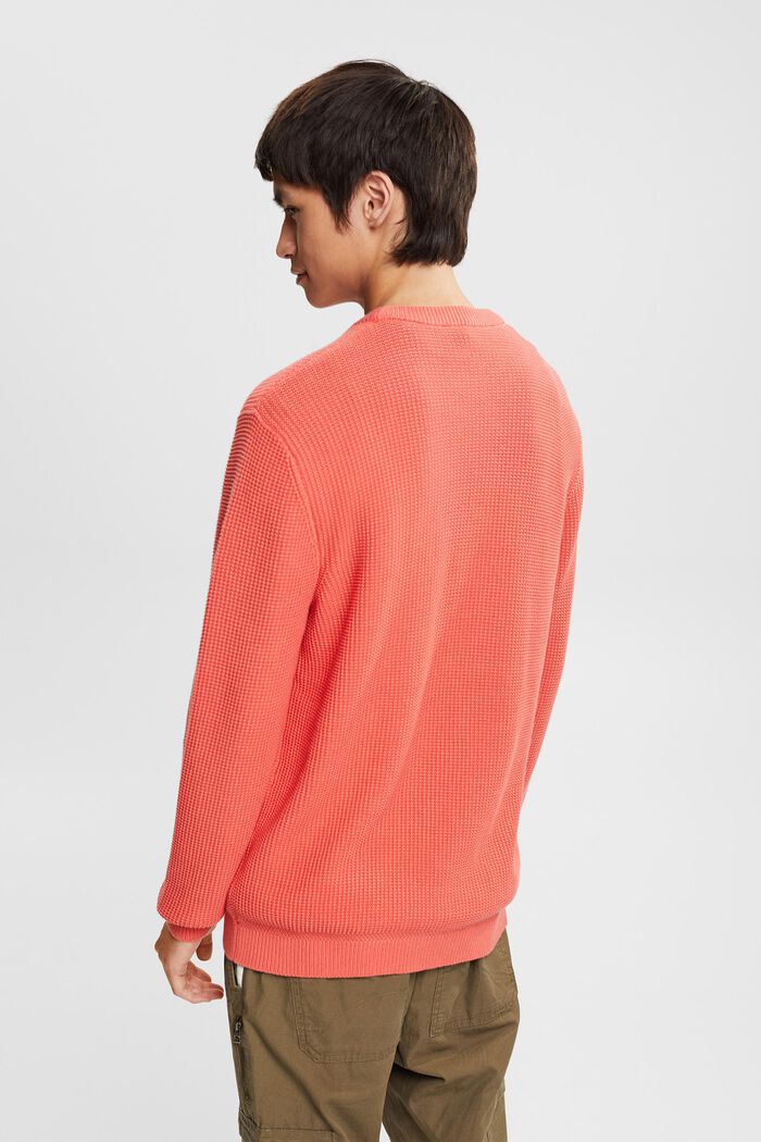 Sweater aus 100% Baunwollen, CORAL, detail image number 3