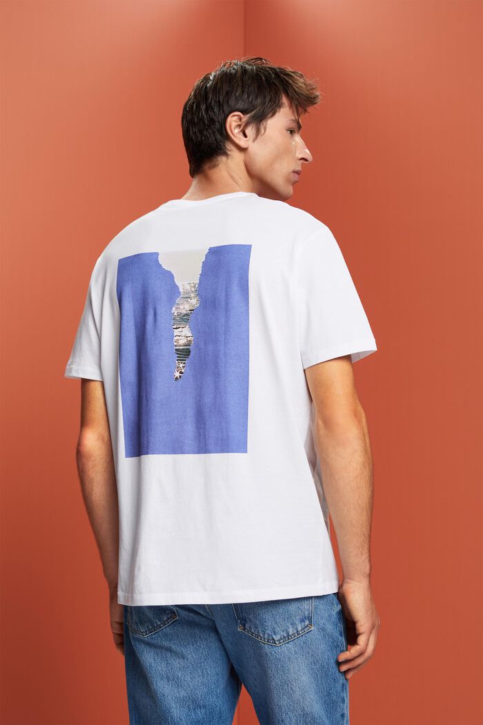 Jersey-T-Shirt mit Print hinten, 100 % Baumwolle, WHITE, detail image number 3