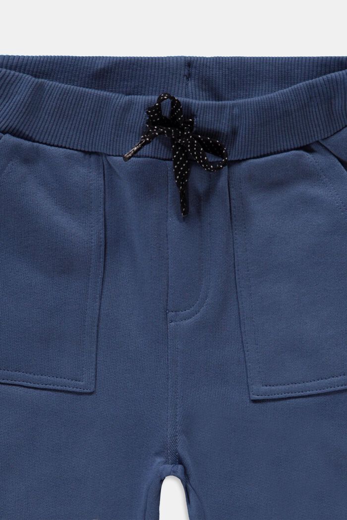 Jogginghose aus 100% Baumwolle, GREY BLUE, detail image number 2