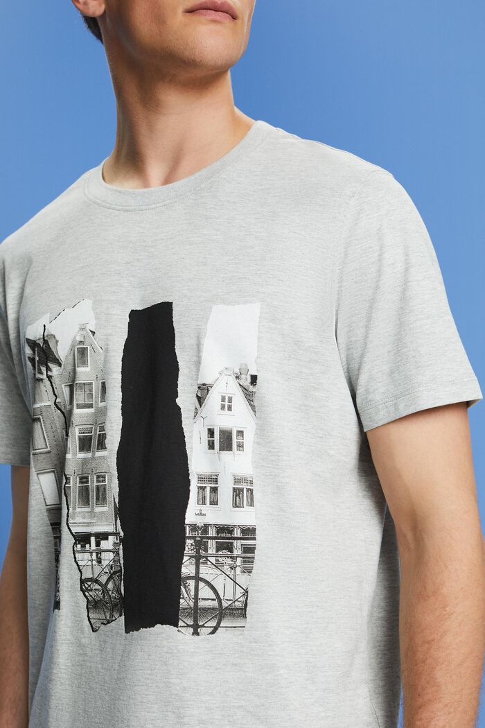 Bedrucktes T-Shirt aus Slub-Jersey, LIGHT GREY, detail image number 2