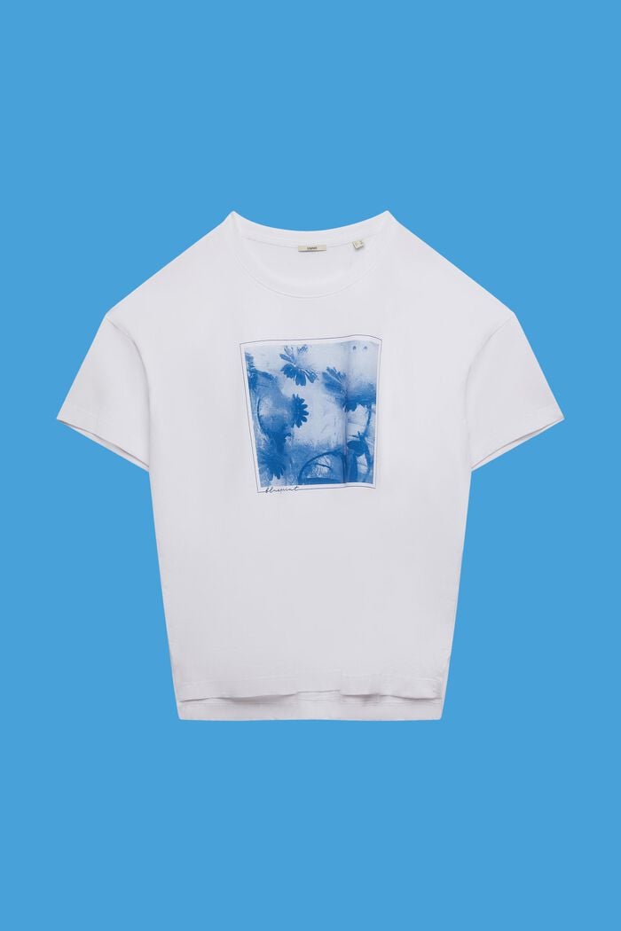 CURVY Baumwoll-T-Shirt mit Print auf der Vorderseite, WHITE, detail image number 0