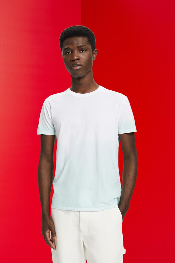 Zweifarbig blass gefärbtes T-Shirt, LIGHT AQUA GREEN, detail image number 0