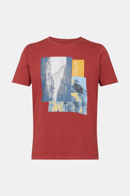 T-Shirt mit Print, TERRACOTTA, overview