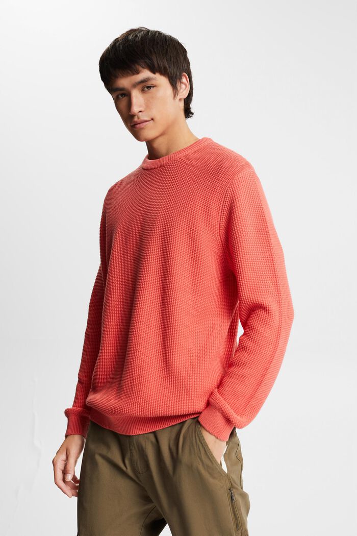 Sweater aus 100% Baunwollen, CORAL, detail image number 0