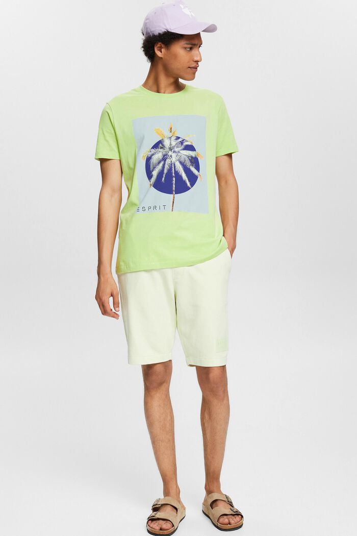 Jersey-T-Shirt mit Print, 100% Baumwolle, LIGHT GREEN, detail image number 0