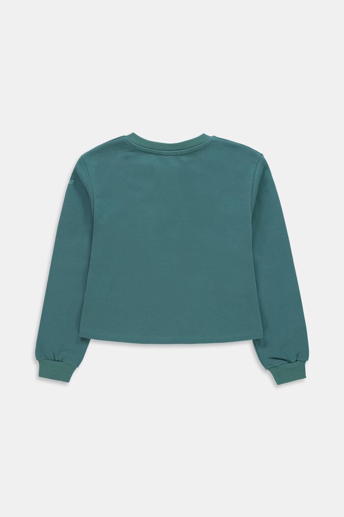 Sweatshirt aus Baumwolle, TEAL GREEN, detail image number 1