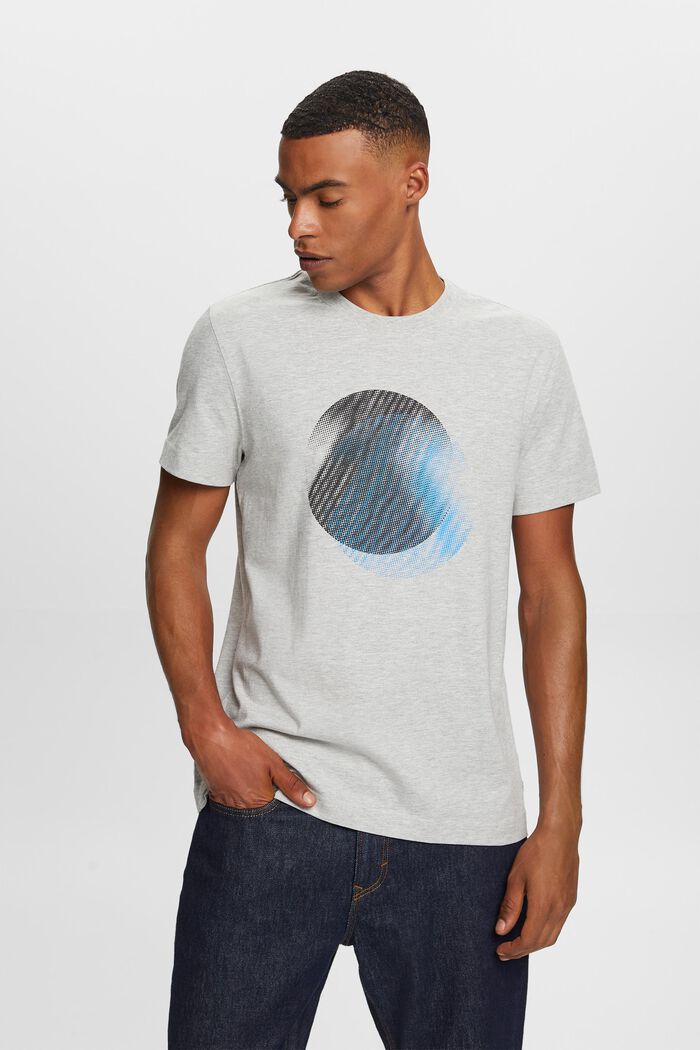 Rundhals-T-Shirt mit Print vorne, LIGHT GREY, detail image number 0